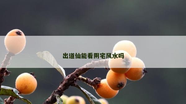 出道仙能看阴宅风水吗