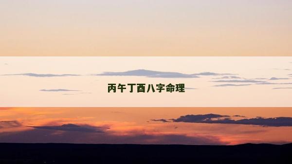 丙午丁酉八字命理