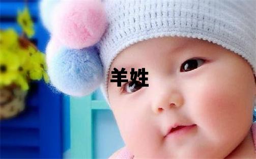 羊姓优美大方的男宝宝名字
