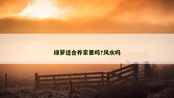 绿萝适合养家里吗?风水吗