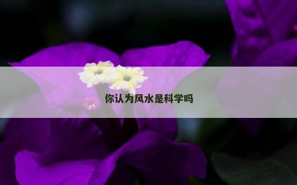 你认为风水是科学吗