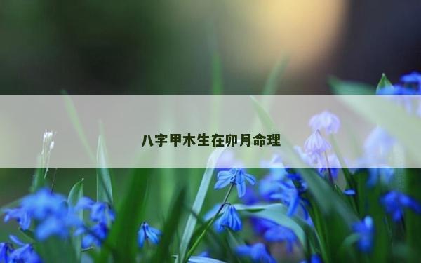 八字甲木生在卯月命理
