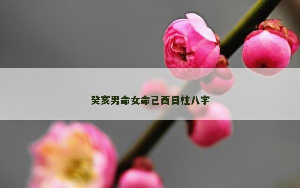 癸亥男命女命己酉日柱八字