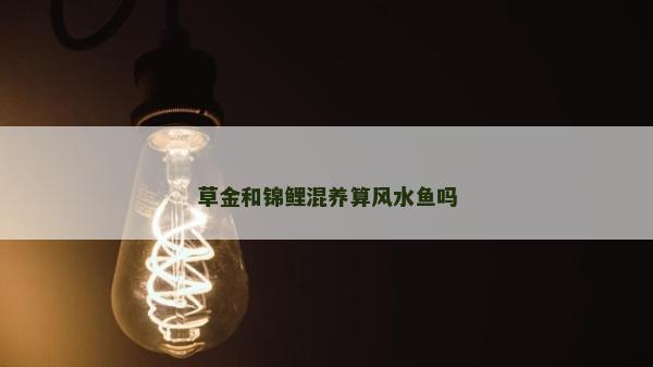 草金和锦鲤混养算风水鱼吗