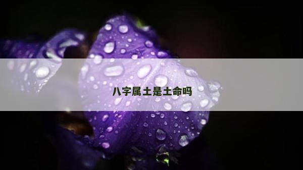 八字属土是土命吗