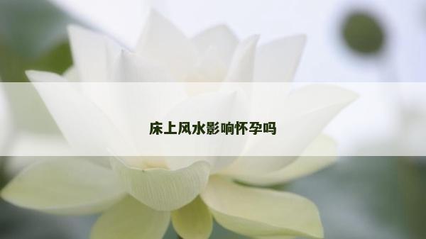 床上风水影响怀孕吗