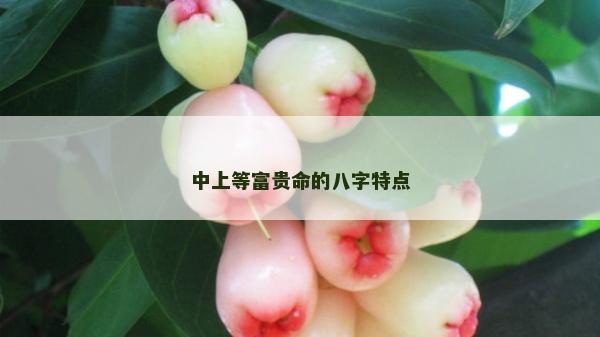 中上等富贵命的八字特点