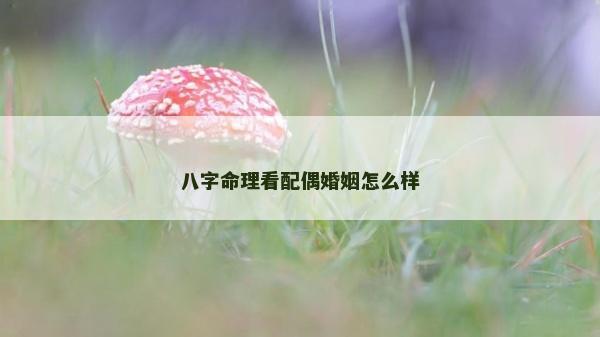 八字命理看配偶婚姻怎么样
