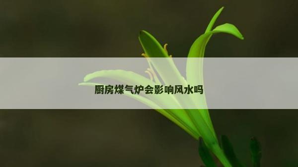 厨房煤气炉会影响风水吗