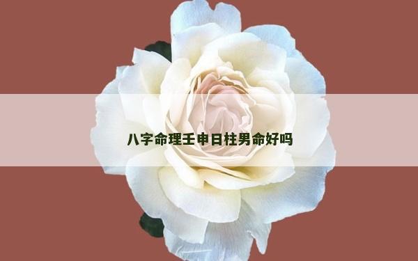 八字命理壬申日柱男命好吗