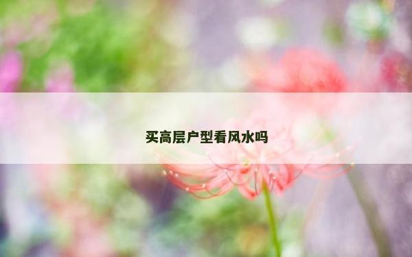 买高层户型看风水吗