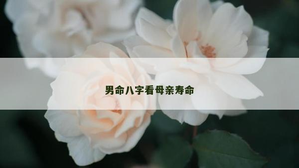 男命八字看母亲寿命