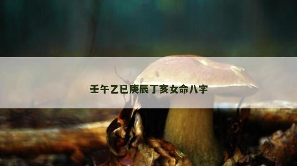 壬午乙巳庚辰丁亥女命八字