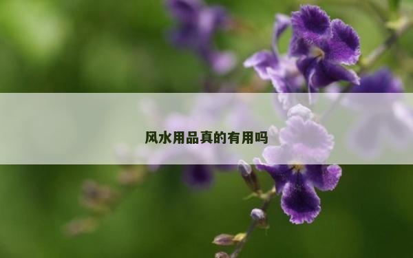 风水用品真的有用吗