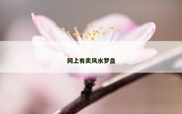 网上有卖风水罗盘