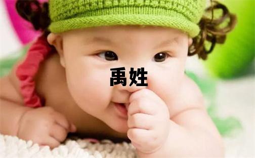 禹姓吉利的女孩名字