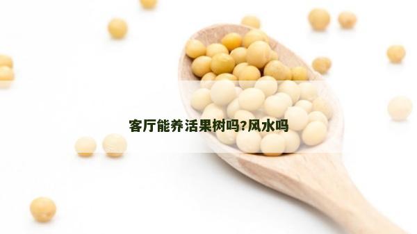 客厅能养活果树吗?风水吗