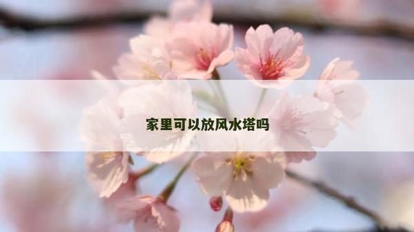 家里可以放风水塔吗