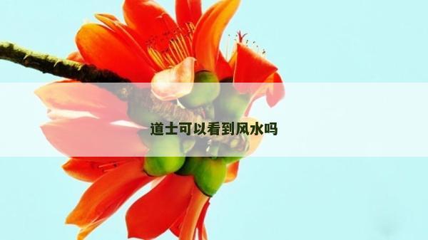 道士可以看到风水吗