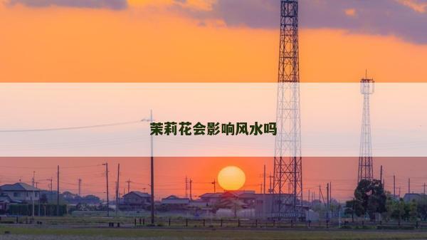 茉莉花会影响风水吗