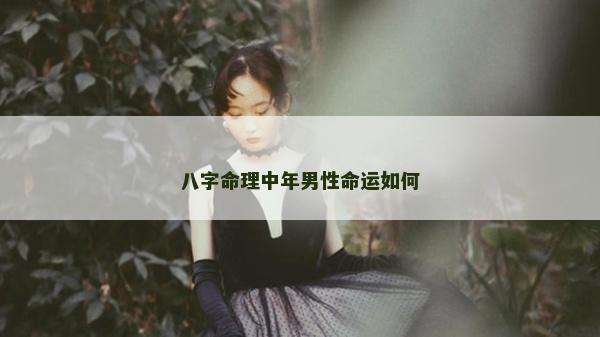 八字命理中年男性命运如何