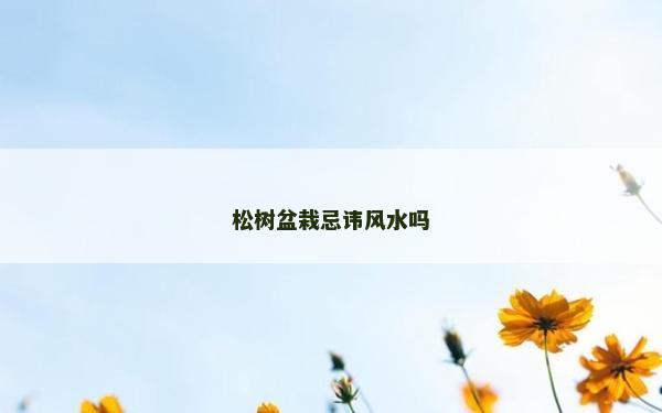松树盆栽忌讳风水吗
