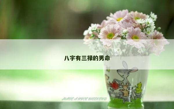 八字有三禄的男命