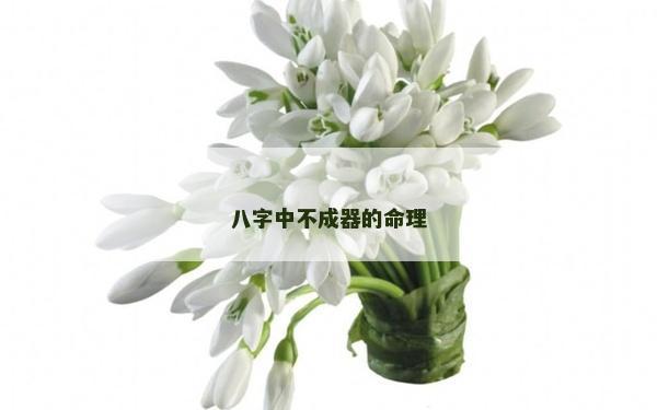 八字中不成器的命理