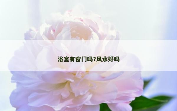浴室有窗门吗?风水好吗