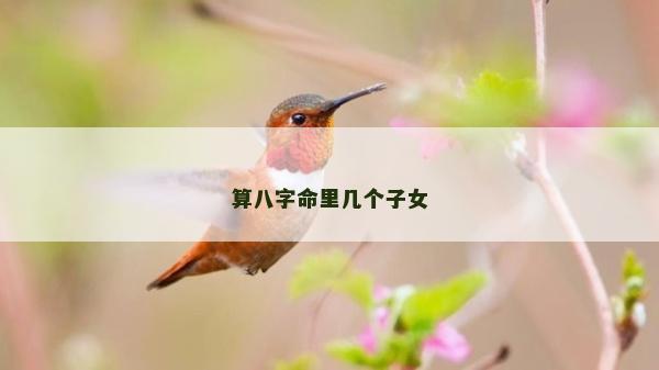 算八字命里几个子女