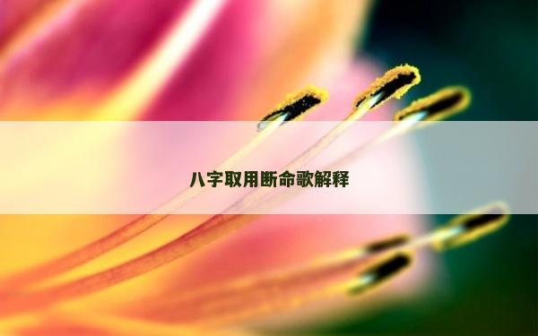八字取用断命歌解释
