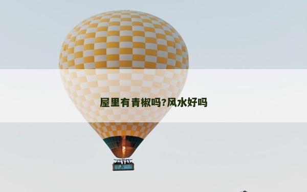 屋里有青椒吗?风水好吗