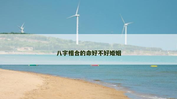 八字相合的命好不好婚姻