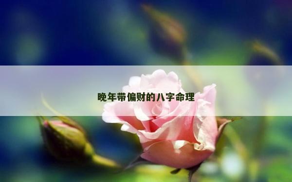 晚年带偏财的八字命理