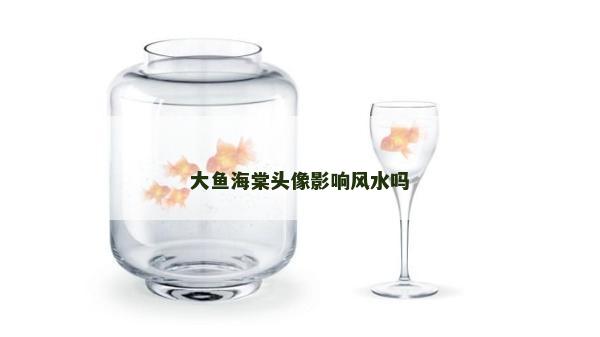 大鱼海棠头像影响风水吗
