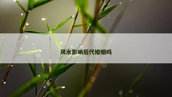 风水影响后代婚姻吗