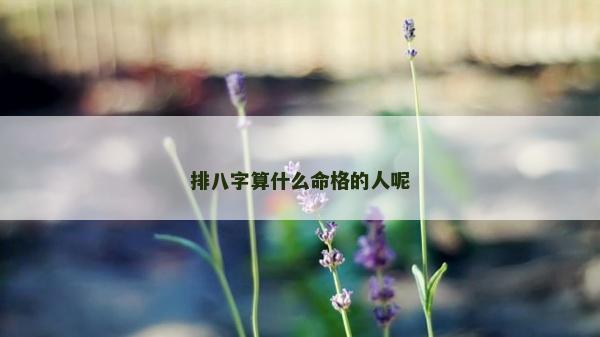 排八字算什么命格的人呢