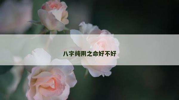 八字纯阴之命好不好