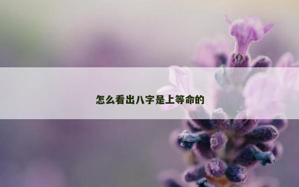 怎么看出八字是上等命的