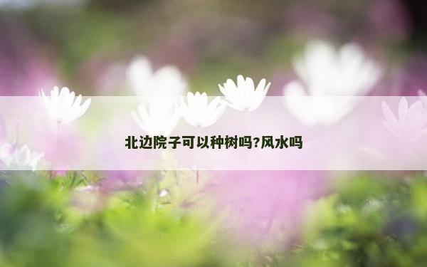 北边院子可以种树吗?风水吗