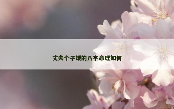 丈夫个子矮的八字命理如何