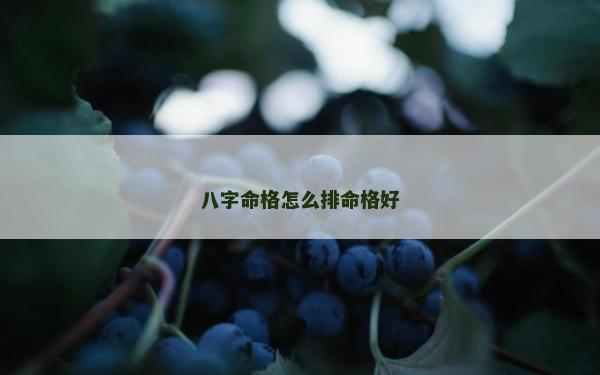 八字命格怎么排命格好