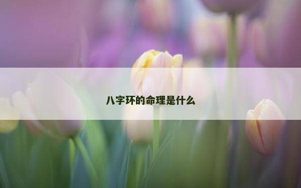 八字环的命理是什么