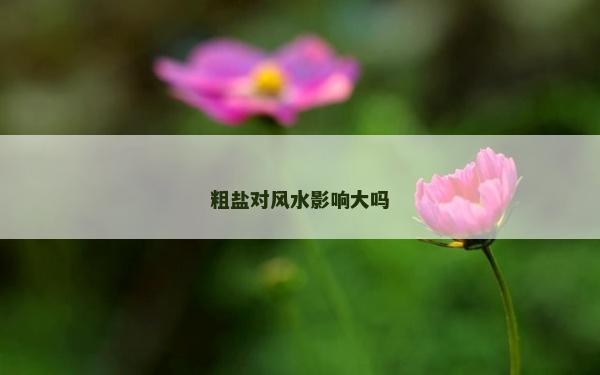 粗盐对风水影响大吗