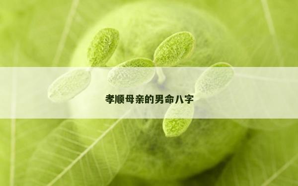 孝顺母亲的男命八字