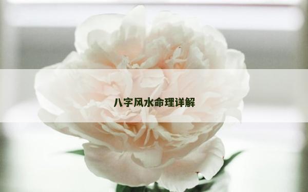 八字风水命理详解