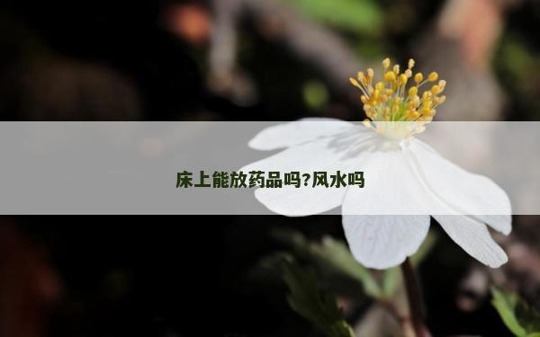 床上能放药品吗?风水吗