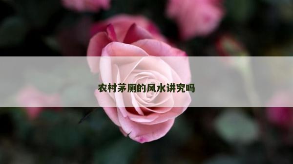 农村茅厕的风水讲究吗