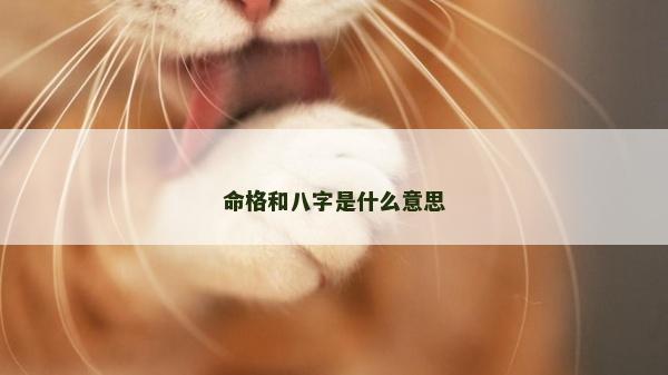 命格和八字是什么意思