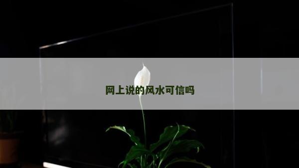 网上说的风水可信吗